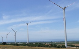 Việt Nam sẽ có điện gió kết hợp du lịch sinh thái