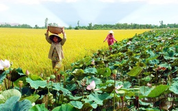 Là địa phương thuần nông, không thắng cảnh đẹp nhưng tỉnh này vẫn vượt qua Hà Nội, Bình  Dương trong mắt giới kinh doanh nhờ “một ông Bí thư hay cười”!