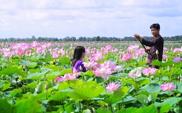 Điều gì tạo nên hiện tượng Đồng Tháp, một tỉnh nghèo lại hay gặp hạn hán, nhưng "máu" khởi nghiệp thì chẳng thua Hà Nội, Tp.HCM ?