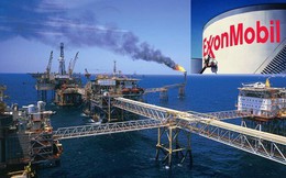 Đại diện ExxonMobil khuyên Việt Nam chuyển từ sử dụng than sang gas, sau khi khẳng định mỏ Cá Voi Xanh sẽ được khai thác vào năm 2019