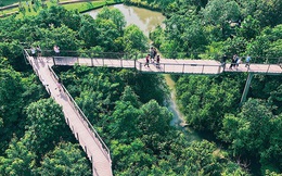 Đến Bangkok, đừng quên ghé khu rừng "thần tiên" được xây từ... bãi rác của người Thái