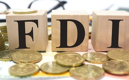 7 tháng đầu năm, vốn FDI đổ vào công nghiệp chế biến, chế tạo đạt gần 11 tỷ USD