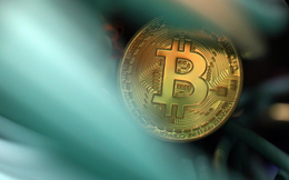 Sự tương đồng giữa cơn sốt bitcoin và bong bóng dotcom