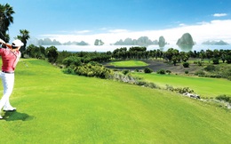 Dự án sân golf Hạ Long bị dừng thi công, Tập đoàn FLC nói gì?