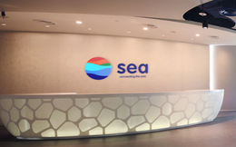Sea - startup lớn nhất Đông Nam Á thua lỗ gần 200 triệu USD