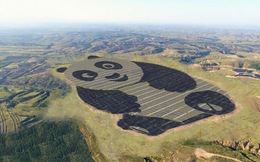 Trung Quốc xây trang trại điện mặt trời hình núi trúc khổng lồ
