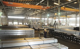 Sau Vinamilk, nhân viên Tập đoàn Hoa Sen vui mừng được "thưởng" cả trăm tỷ đồng nhân kỷ niệm thành lập công ty