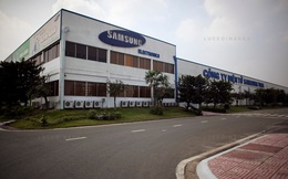 'Xin đừng để kinh tế Việt Nam chỉ biết phụ thuộc vào Samsung'