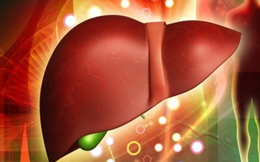 6 dấu hiệu cho thấy gan đang suy yếu: Nhận biết sớm để ngừa nguy cơ xơ gan, ung thư gan