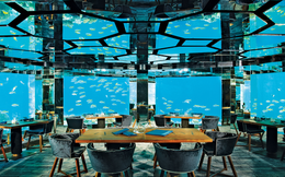 Thưởng thức bữa tối tuyệt vời ở nhà hàng dưới đại dương tại thiên đường du lịch Maldives
