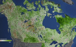 Bắc Cực đang bị "phủ xanh" với tốc độ khủng khiếp và đến giờ con người mới hiểu tại sao