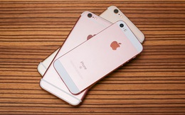 Mặc thiên hạ bàn tán xôn xao về iPhone 7 đỏ rực, chuyên gia cho rằng iPhone SE mới là smartphone đáng mua