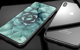 11% người dùng được hỏi sẵn sàng bỏ ra hơn 1000 USD để mua iPhone 8