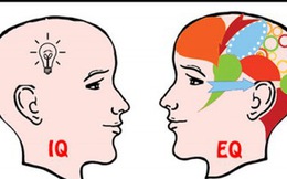 Có thể bạn chưa biết: EQ là một dạng trí tuệ khác biệt mà những người muốn thành công buộc phải có