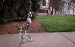 Một ngày nào đó, con robot kỳ lạ này sẽ là nhân viên giao hàng đến tận nhà bạn