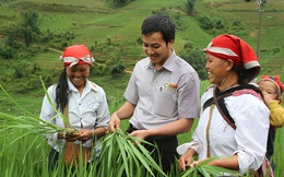 Bắt tay người nông dân làm mô hình cánh đồng mẫu lớn, công ty này đã nâng giá trị hạt gạo lên cả chục lần, xuất đi 36 nước