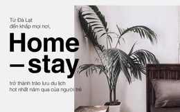 Từ Đà Lạt đến khắp mọi nơi, homestay đã trở thành trào lưu du lịch hot nhất năm qua của người trẻ