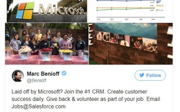 Microsoft sa thải hàng nghìn nhân viên, ngay lập tức CEO Salesforce kêu gọi: Hãy gửi CV cho chúng tôi!