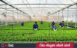 NHNN lý giải chậm giải ngân gói 100.000 tỷ: DN chưa dám vay vì không biết mình có phải 'DN nông nghiệp công nghệ cao' hay không