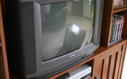 Từ tiên phong bán TV, tủ lạnh, máy giặt, Toshiba đã trở thành nỗi hổ thẹn của người Nhật như thế nào?