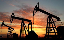 Sản lượng dầu thô Mỹ sẽ phá vỡ kỷ lục từ trước đến nay