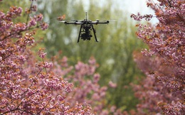 Không chỉ để chụp ảnh, quay phim, drones có thể trở thành cứu tinh của thế giới như thế nào?
