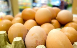 Tiết lộ mới về bê bối "trứng bẩn" từ Hà Lan vào Đức: Quy mô gây sốc