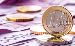 Những nhà nhập khẩu từ Châu Âu sẽ không vui khi nghe tin này