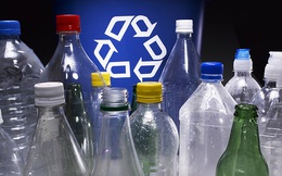 Những chiếc chai nhựa đang đưa loài người từ bàn ăn ra nghĩa địa thế nào?