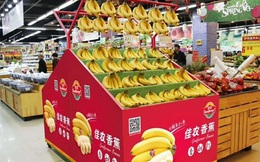 Chuối của HAGL chính thức vào Trung Quốc, xuất hiện trên kệ các siêu thị ở Bắc Kinh, Thượng Hải, Thành Đô...