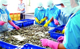 Hiệp định FTA Việt Nam - EU: Rộng cửa xuất khẩu cho thủy sản Việt Nam vào EU