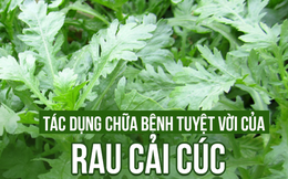 Đây là lý do vì sao cải cúc được gọi là "Rau Hoàng đế"