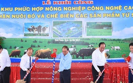 Thêm một dự án chăn nuôi bò sữa 3.000 tỷ đồng vừa được Thủ tướng nhấn nút khởi công