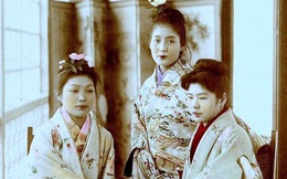 Cuộc sống của các cô gái bán hoa Nhật Bản thời xưa, phải giam mình trong lồng gỗ ở khu nhà thổ rộng 81.000m2