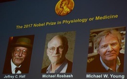 Nghiên cứu đạt giải Nobel khoa học năm nay có thể mở ra cuộc cách mạng thay đổi cách mà chúng ta vẫn ngủ bấy lâu