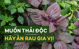 Chuyên gia Đông y: Muốn thải độc, hãy bắt đầu bằng việc ăn rau gia vị