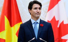 Bạn sẽ ngạc nhiên khi biết bông hoa đỏ cài áo Thủ tướng Justin Trudeau và câu chuyện lịch sử đằng sau
