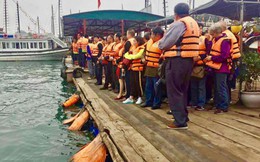 Du khách Trung Quốc kẹt cứng cửa khẩu Móng Cái và vịnh Hạ Long