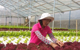 Lâm Đồng sẽ trở thành Trung tâm nông nghiệp giá trị cao của Đông Nam Á