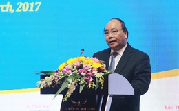 Thủ tướng kêu gọi những ‘con sếu lớn’ đổ bộ vào Quảng Nam