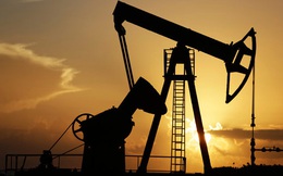 Bloomberg: Ngày giá dầu xuống dưới 40 USD không còn xa nữa!