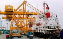 Yêu cầu làm rõ thông tin ngành logistics Việt Nam “bị trói” vì cơ chế
