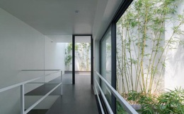 Những ngôi nhà ống Việt ngập sắc xanh nổi tiếng trên báo ngoại