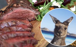 Úc: Chuột túi nhiều gấp đôi người, chính quyền huy động người dân ăn thịt Kangaroo