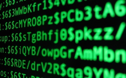 7 thủ đoạn đánh cắp mật mã phổ biến nhất thế giới