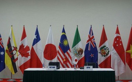 Tuyên bố chung của các Bộ trưởng phụ trách Kinh tế về TPP-11
