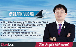 Công ty do Shark Vương làm Chủ tịch bị Vietinbank rao bán khoản nợ 74 tỷ đồng