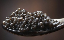 Cách thưởng thức Caviar - món ăn đắt đỏ luôn góp mặt trong các bữa tiệc của hội siêu giàu