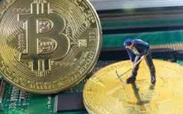 Bitcoin - biến tướng và hệ lụy