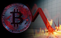 Bitcoin và hàng loạt đồng tiền số khác bị bán tháo trên mọi mặt trận, nhà đầu tư rút tiền đón giáng sinh hay bong bóng đang bắt đầu vỡ?